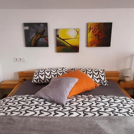 Apartmaji Daniel 아파트 *